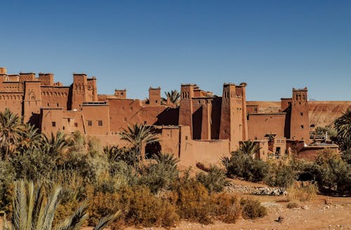 Exterior of old masonry buildings with square shaped windows near dry sandy terrain with growing palm trees and grass under blue sky