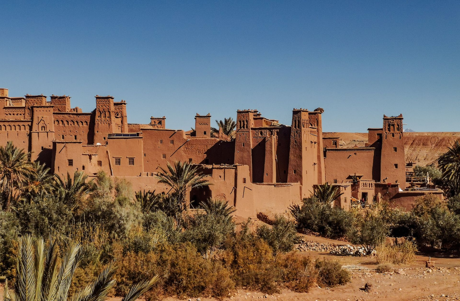 Day Trip from Ouarzazate to Fint Oasis