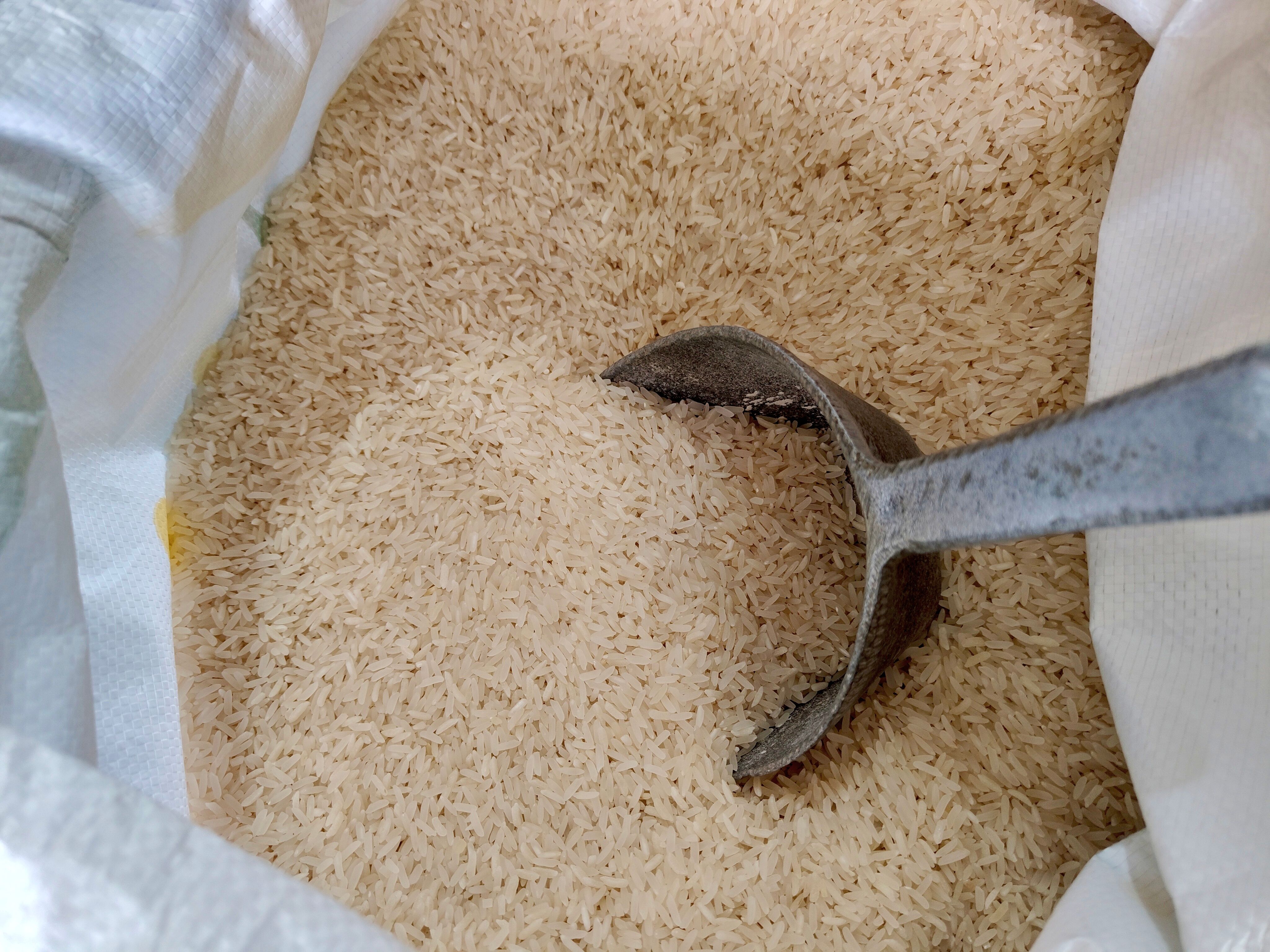 Cereals; rice, semi-milled or wholly milled, whether or not polished or glazed