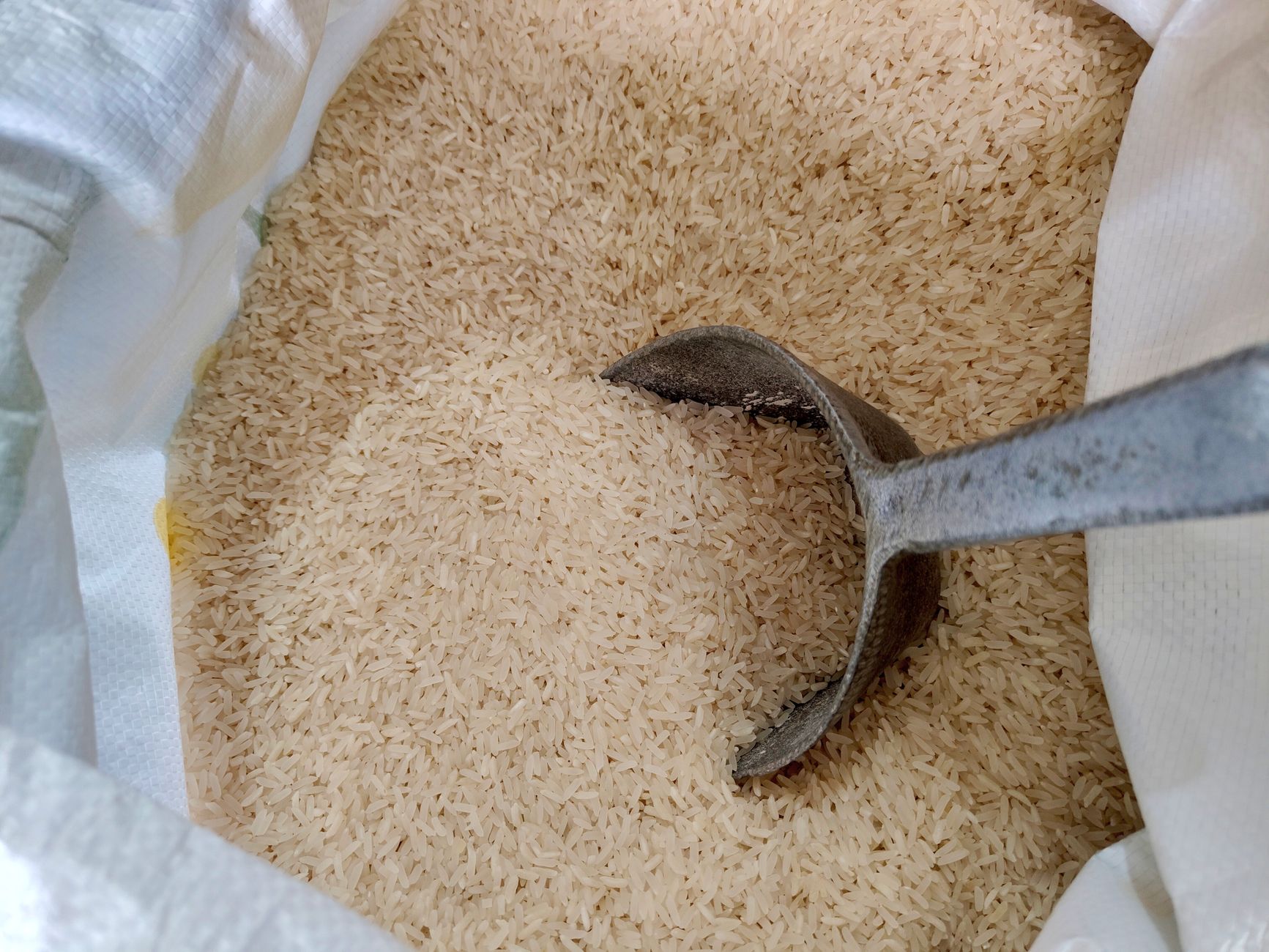 The Designer Rice Revolution: How Gene Editing Is Quietly Upgrading Your Grain