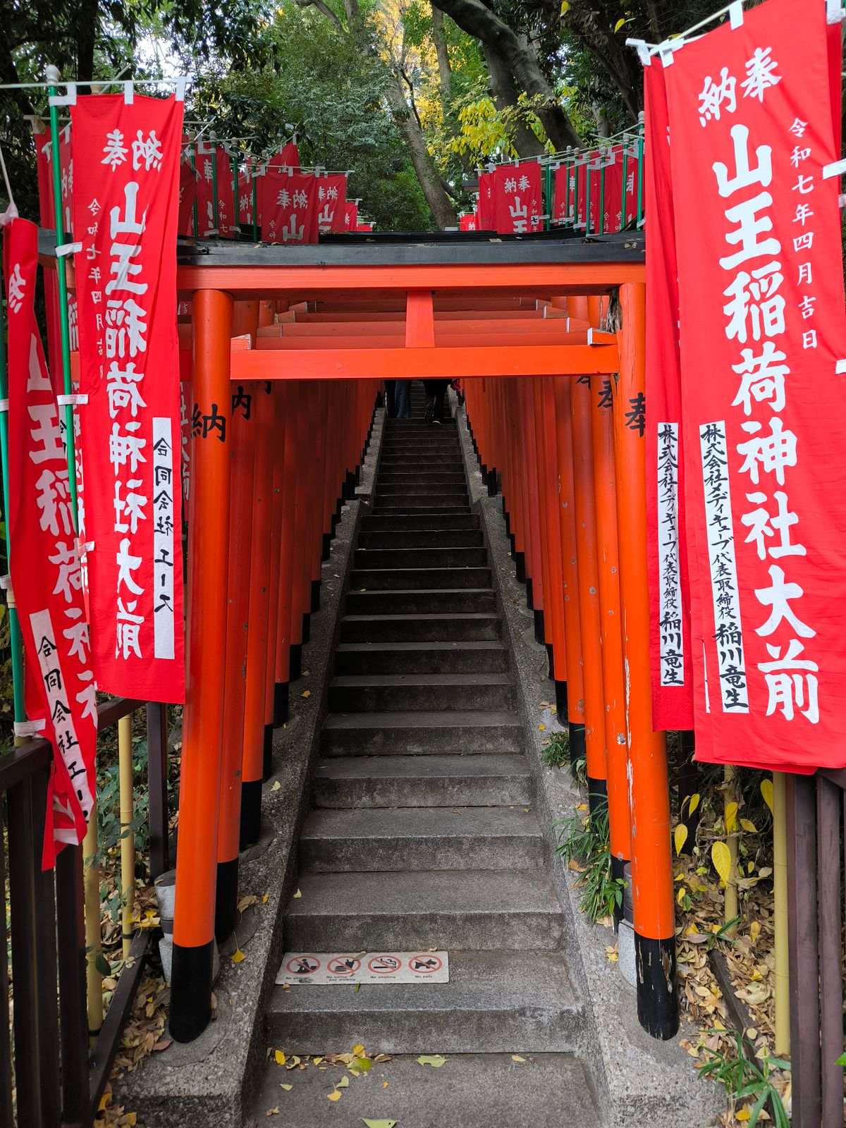 日本の神社の鳥居と杉木立のイメージ
