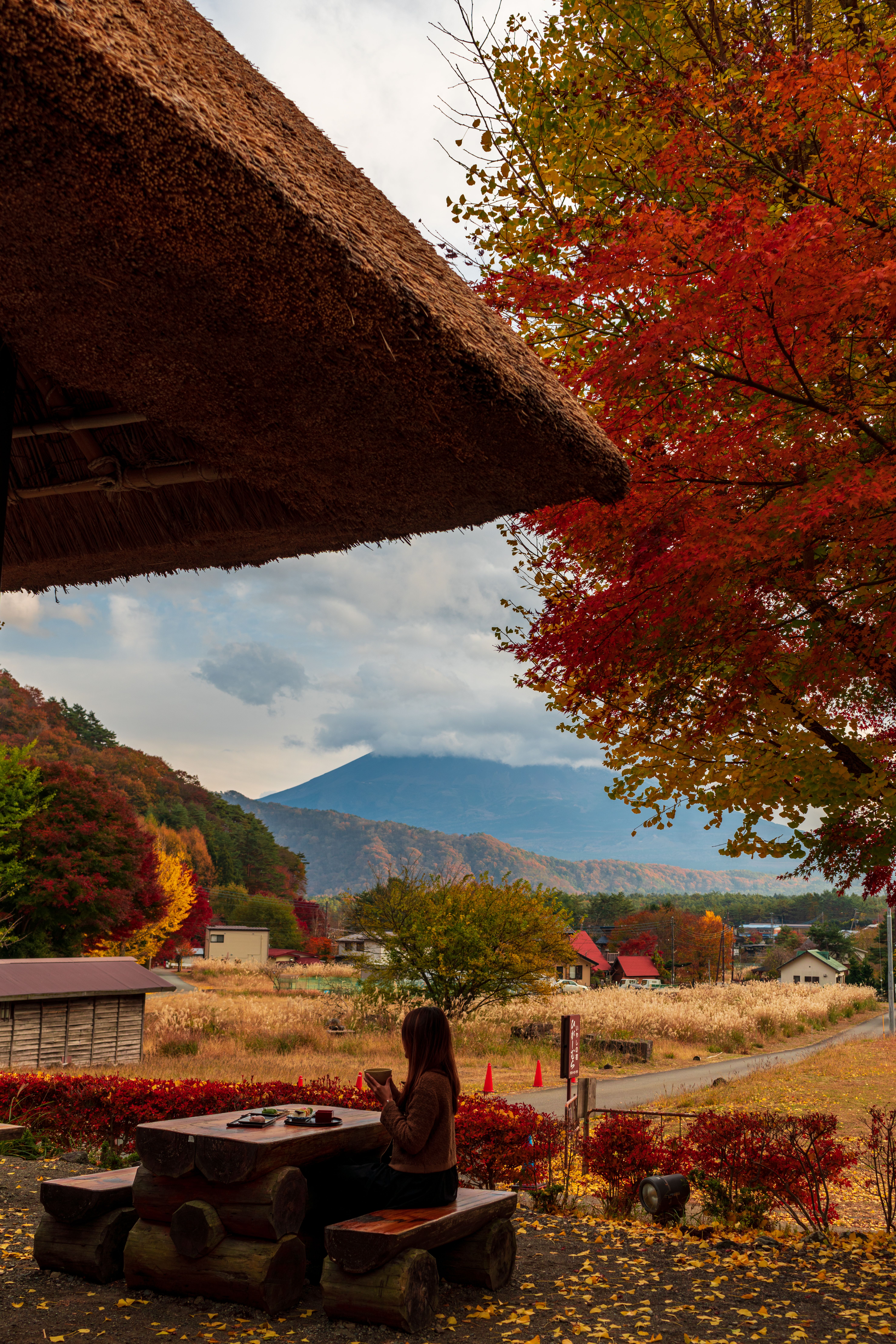 A serene autumn scene in Fujikawaguchiko, Japan, with Mount Fuji in the background.