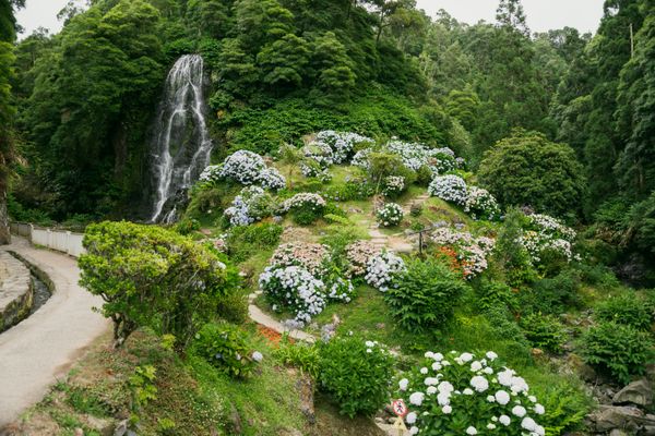 Açores Garden Landscape jigsaw puzzle