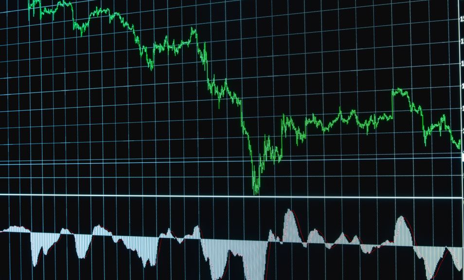 IVV ETF 완벽 분석: 미국 S&P500 추종 대표 ETF 알아보기
