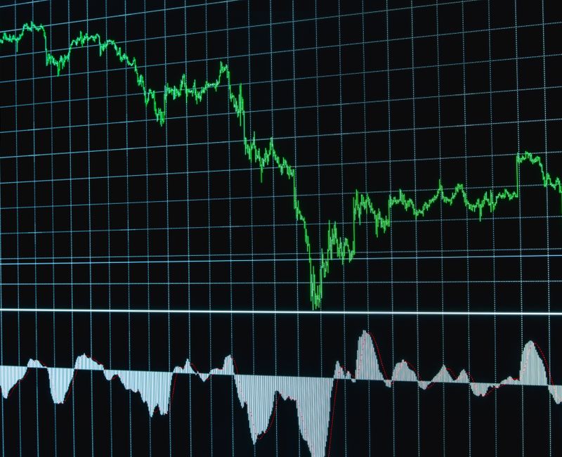 Expert Investment Guidance