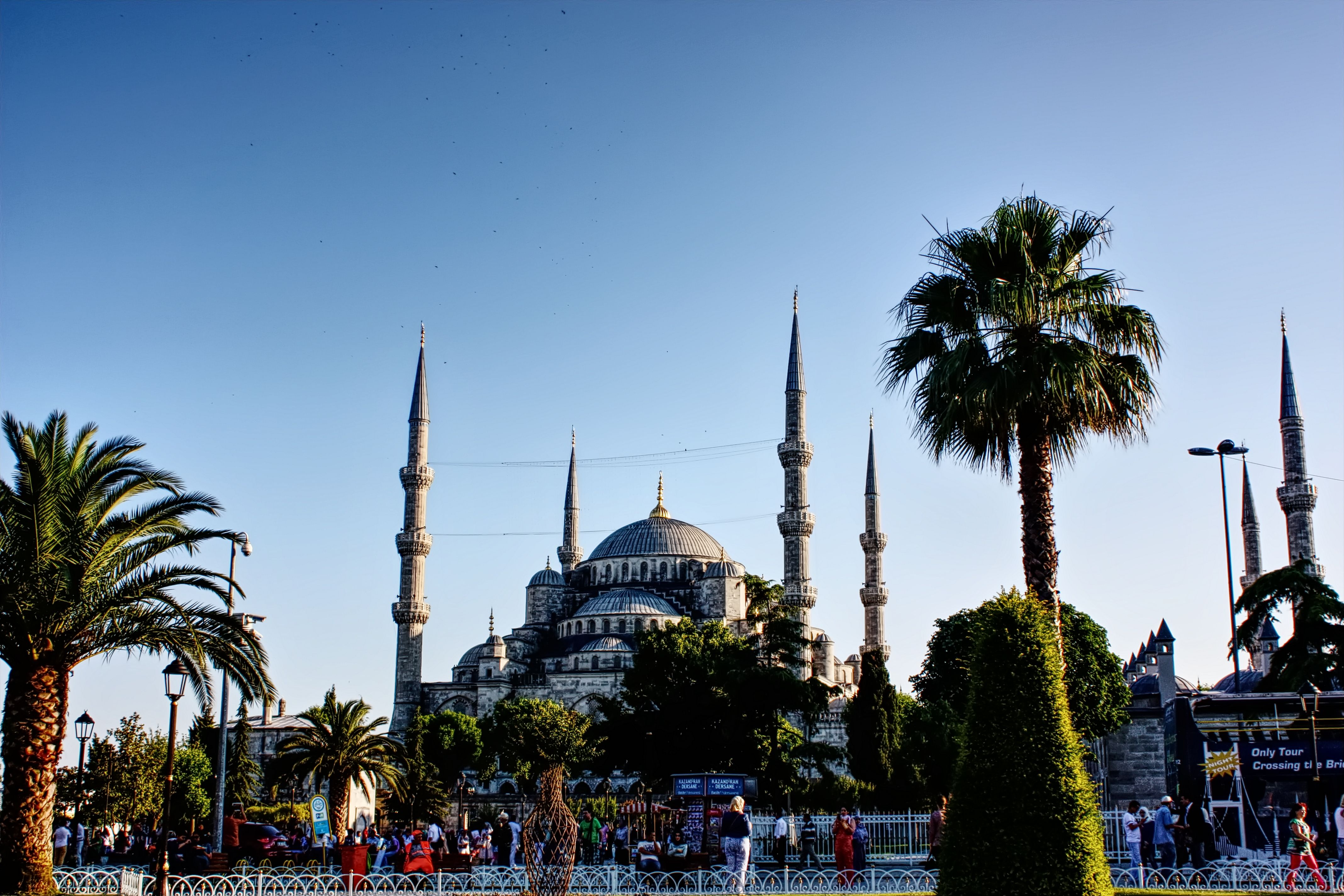 Sultan Ahmed Mosque with minarets, gardens, and palm trees in Istanbul, Türkiye.