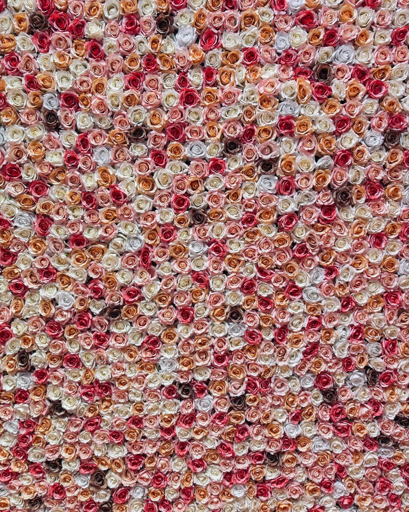 Multicoloured rose flower wall backdrop