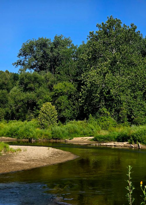Free Peaceful river winding through lush green forest under clear blue sky in summer. Stock Photo
