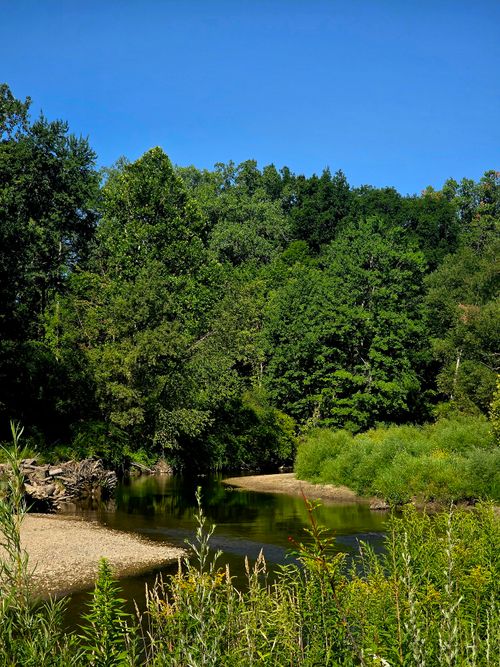 Free A tranquil river winding through lush green forest under clear blue skies. Stock Photo