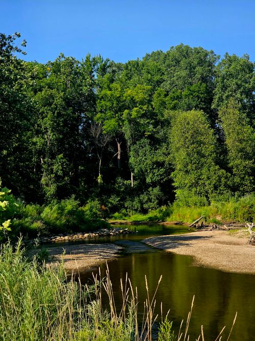 Free Tranquil river landscape surrounded by vibrant, lush green trees under a clear blue sky. Stock Photo