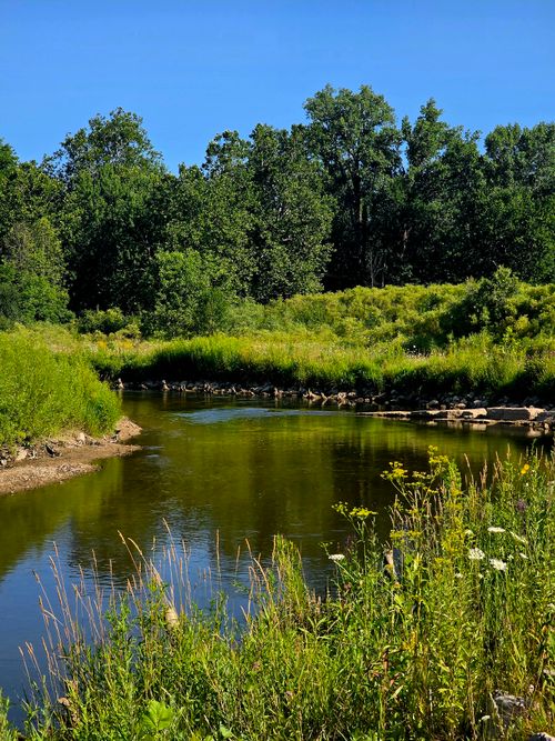 Free Tranquil river scene surrounded by lush summer greenery under a clear blue sky. Stock Photo