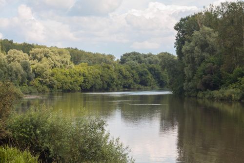 Free A peaceful river flowing through lush greenery under a partly cloudy sky, exuding calm and tranquility. Stock Photo