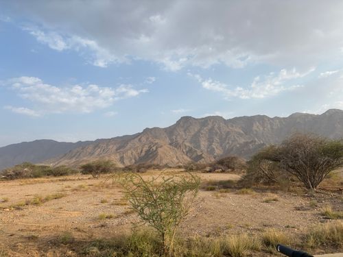 Free Breathtaking mountain view with desert landscape and sparse vegetation under a bright sky. Stock Photo