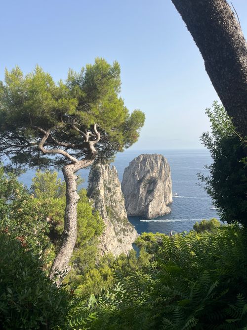 Free Stunning view of Faraglioni rocks in Capri, surrounded by lush greenery and blue sea. Stock Photo