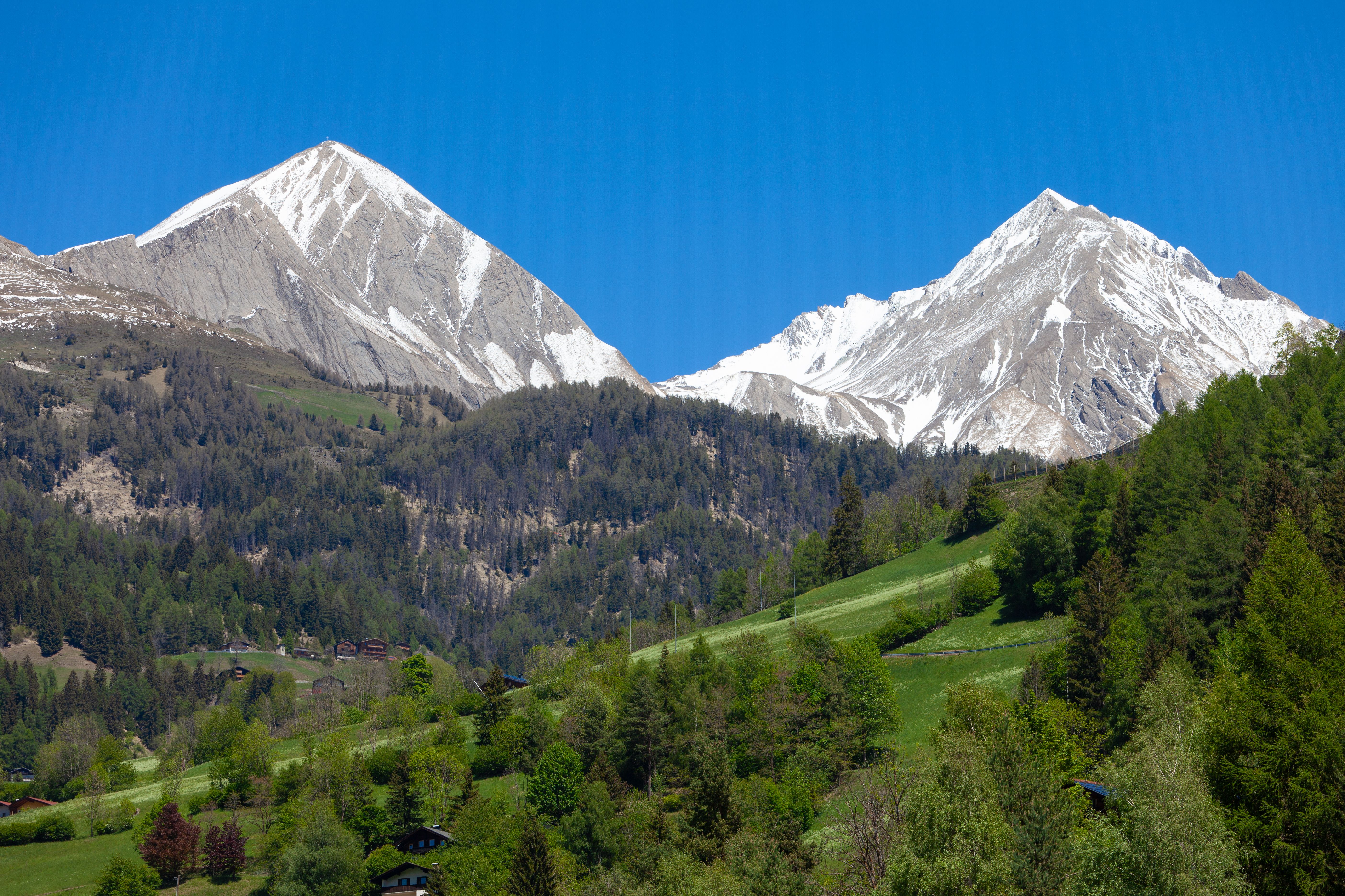 A breathtaking view of the snow-capped Alps with lush green forests below under a clear blue sky.
