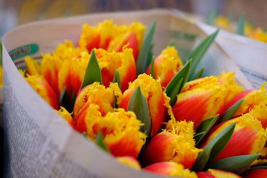 明亮的黄色和红色郁金香优雅地排列在报纸上，构成了一幅生动的花卉展示