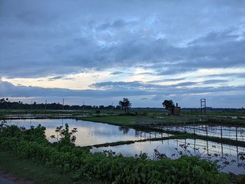 Free Peaceful image of a rice field with reflections under a cloudy sky, exemplifying rural tranquility. Stock Photo