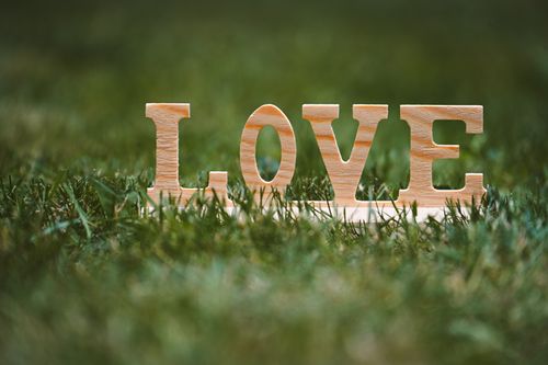 Free Wooden letters spelling LOVE on a grass lawn symbolizing romance and nature. Stock Photo