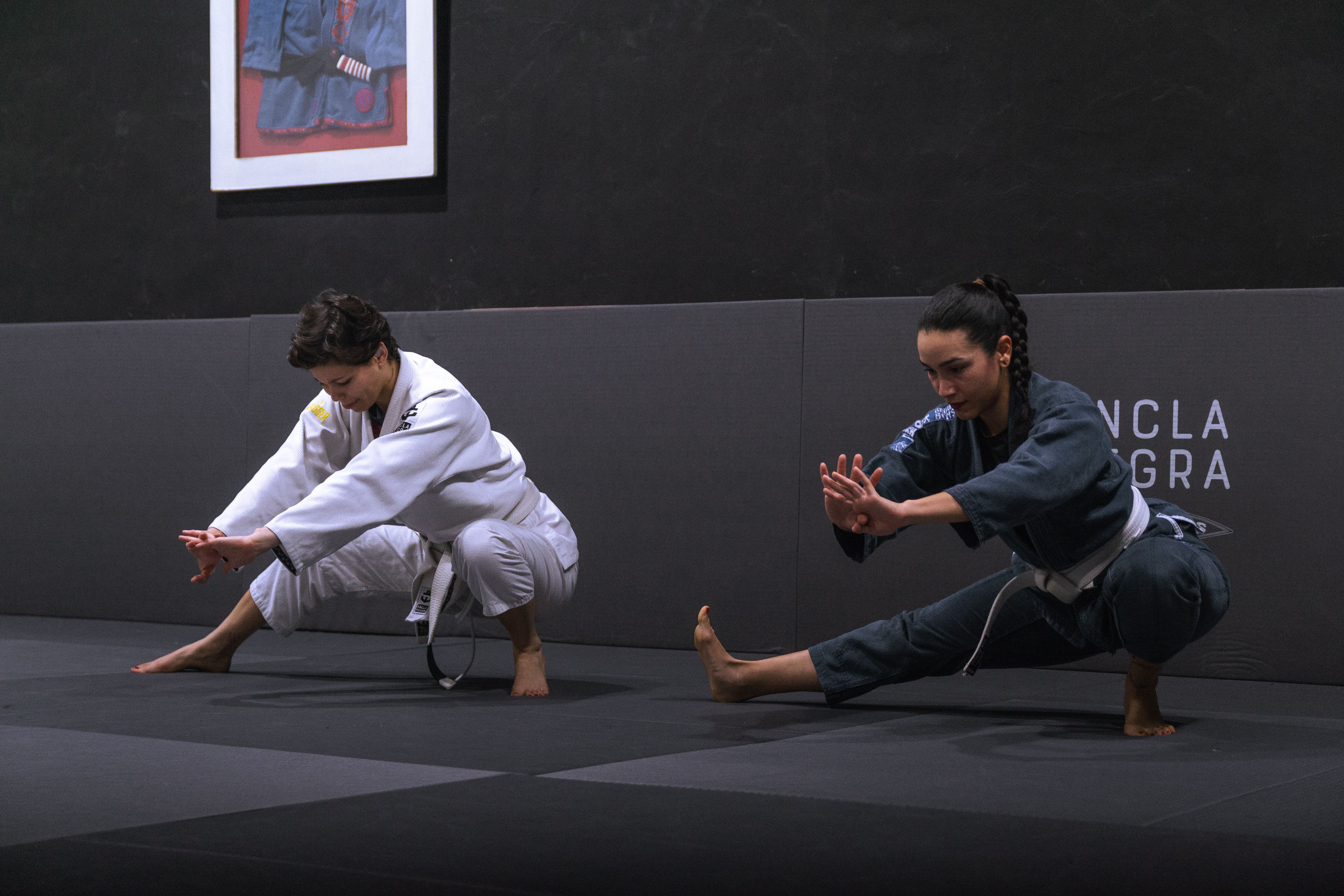 jiu jitsu world league weight classes