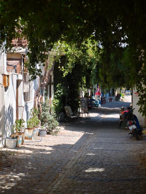 Free A picturesque cobblestone street under leafy trees in Babakale, Türkiye, evokes a serene atmosphere. Stock Photo