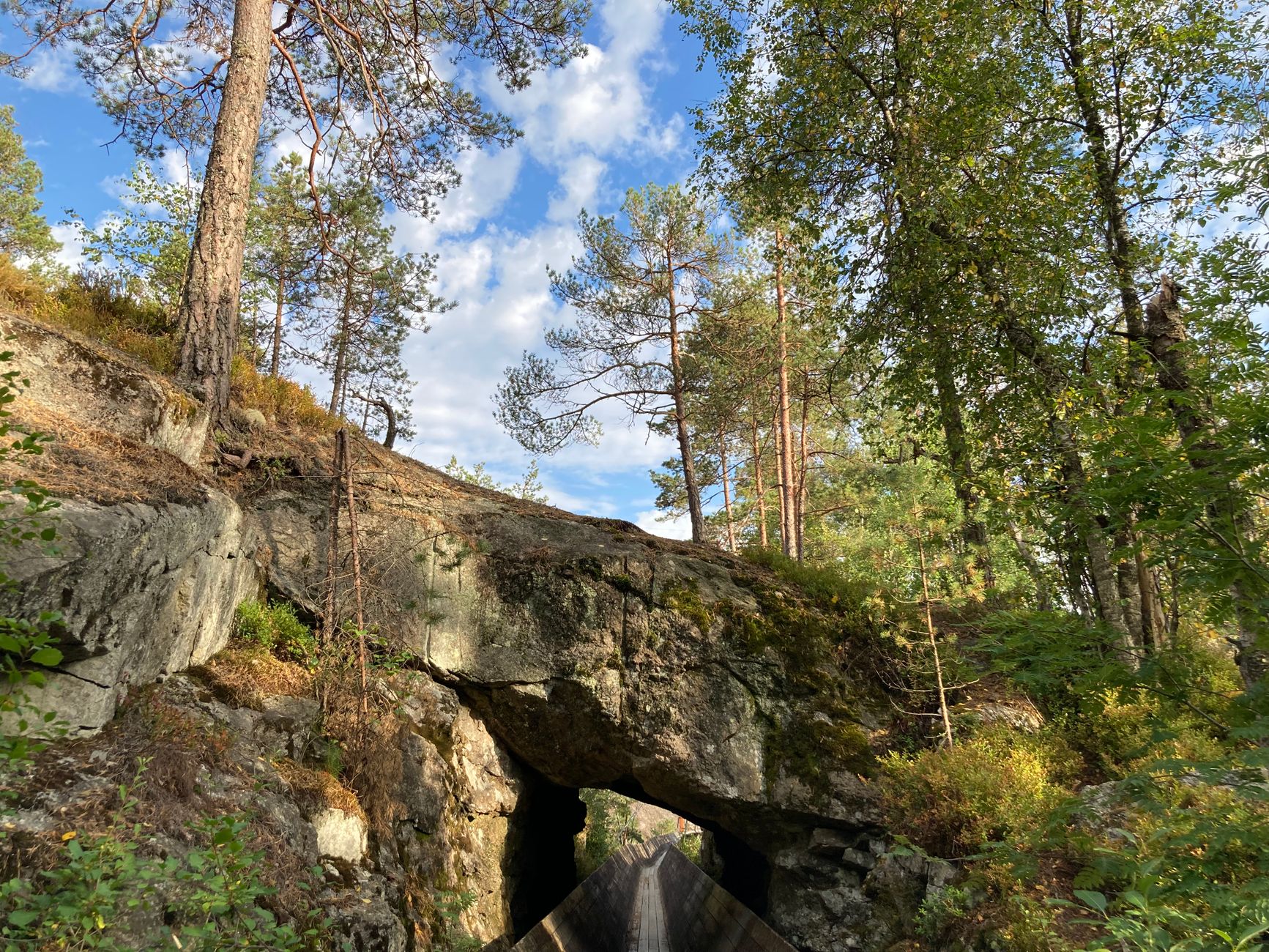 Slottsskogen