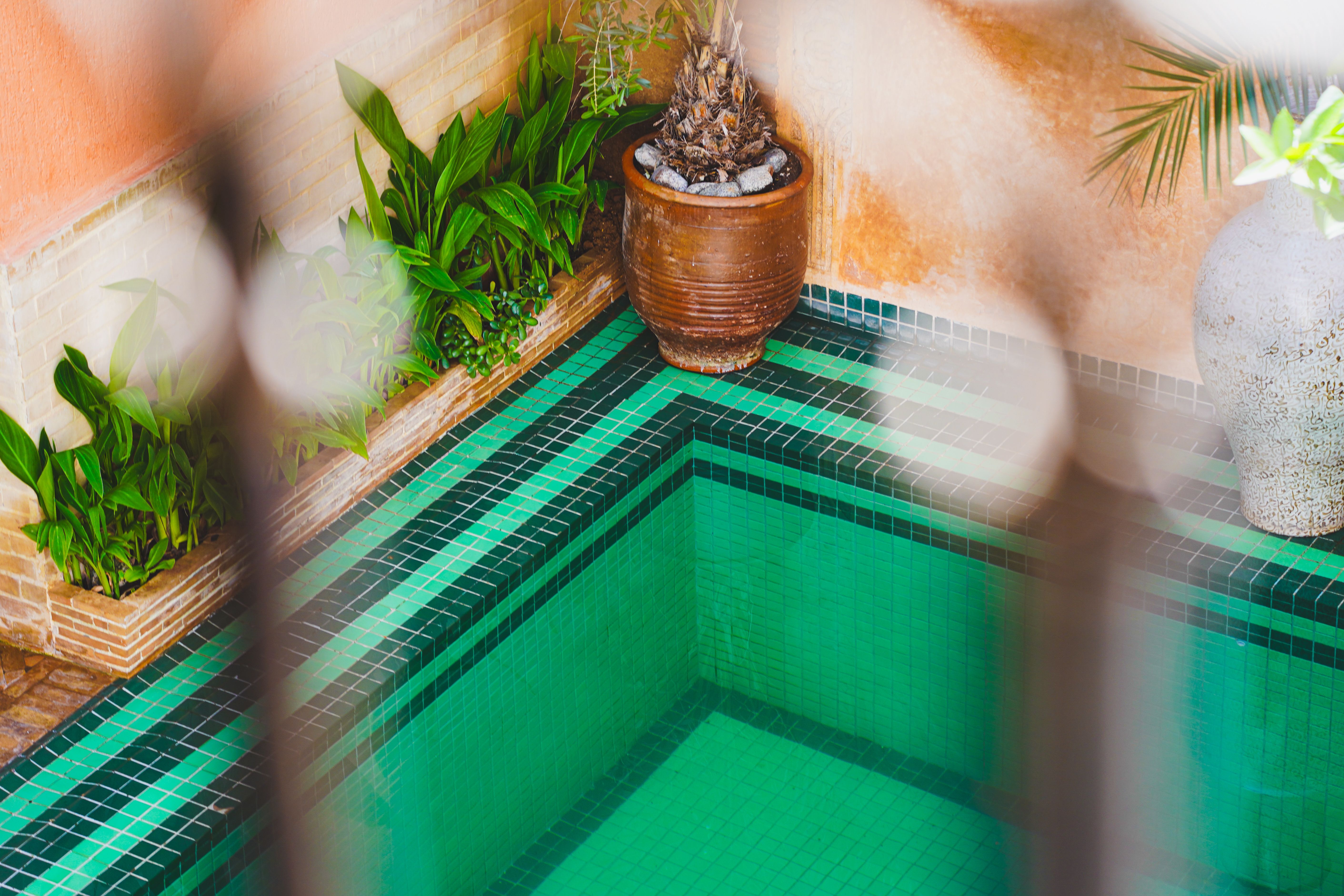 A tranquil courtyard pool surrounded by vibrant greenery in a Marrakech riad.