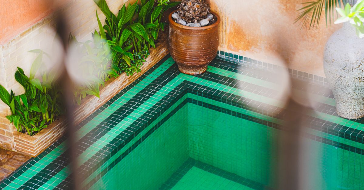 A tranquil courtyard pool surrounded by vibrant greenery in a Marrakech riad.