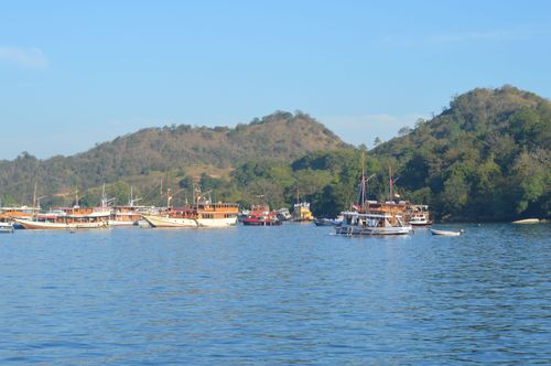 Free Tranquil scene of boats anchored in a serene coastal bay surrounded by lush hills. Stock Photo