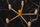 network
