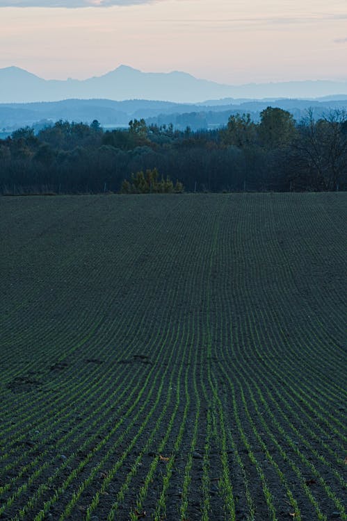 Kostenloses Stock Foto zu acker, ackerland, außerorts