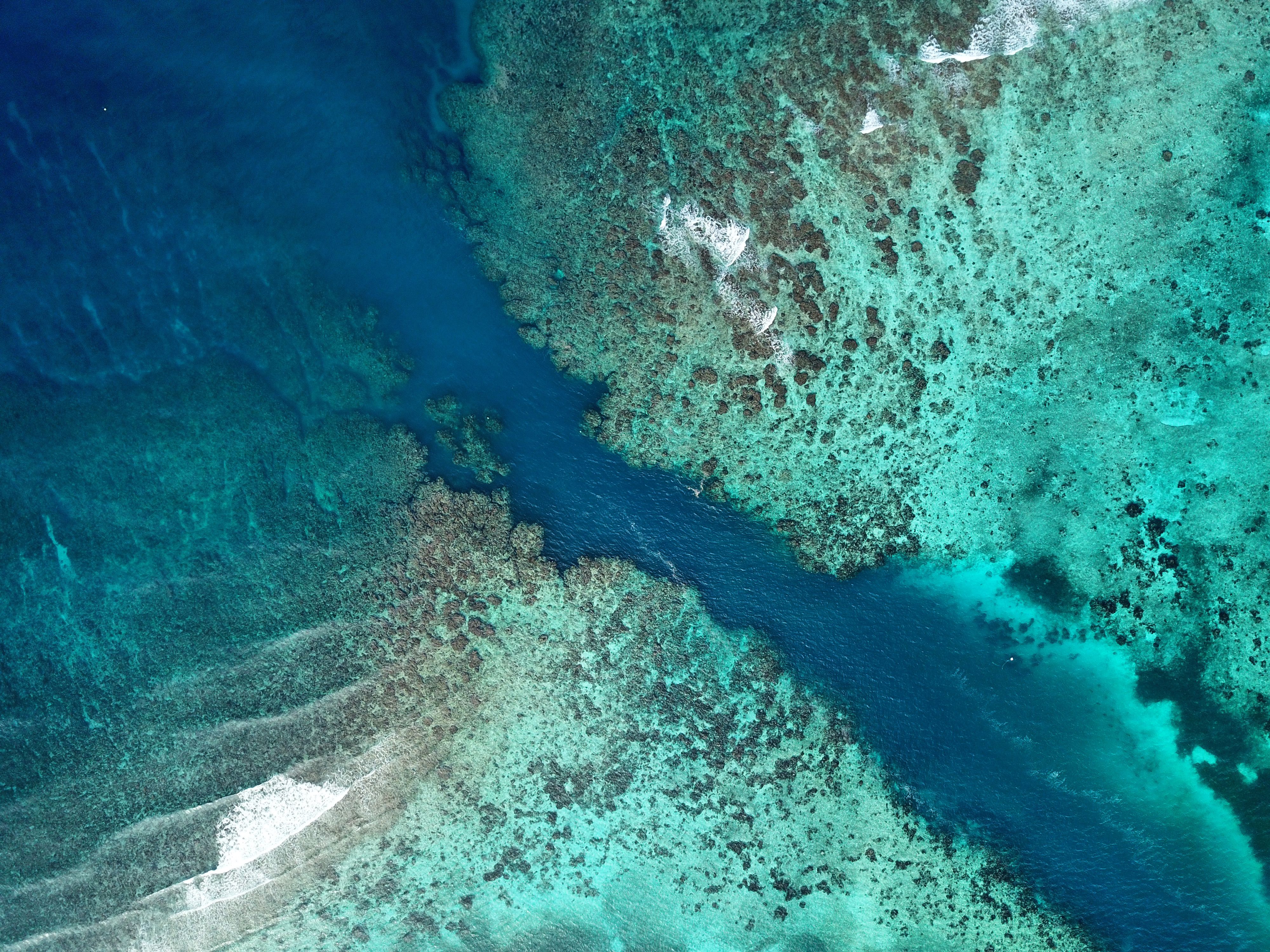Travel inspiration for A Source-Faithful One-Day Roatán West Coast Beach & Food Loop