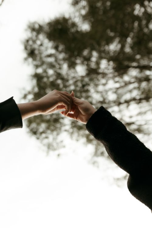 Free Hands reaching towards each other against a blurred outdoor backdrop, symbolizing connection. Stock Photo