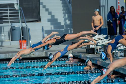 Free Athletes diving into a swimming pool during a competitive race at an outdoor event. Stock Photo