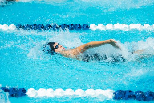 Free A professional swimmer performs the backstroke during a competitive race in an outdoor pool. Stock Photo