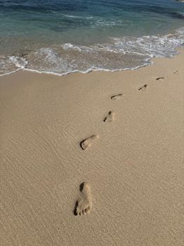 Serene beach with footprints leading into the sea, capturing a peaceful seaside moment.