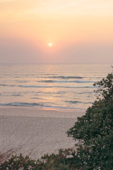 在邦迪海滩，伴着温柔的海浪与温暖的光芒，体验宁静的日出
