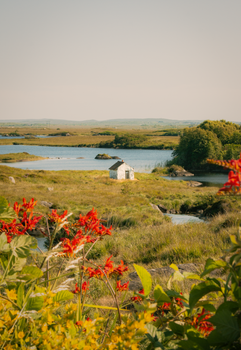A picturesque stone hut in the lush landscape of County Galway, Ireland.