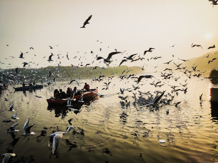 People Riding On Boat On Water