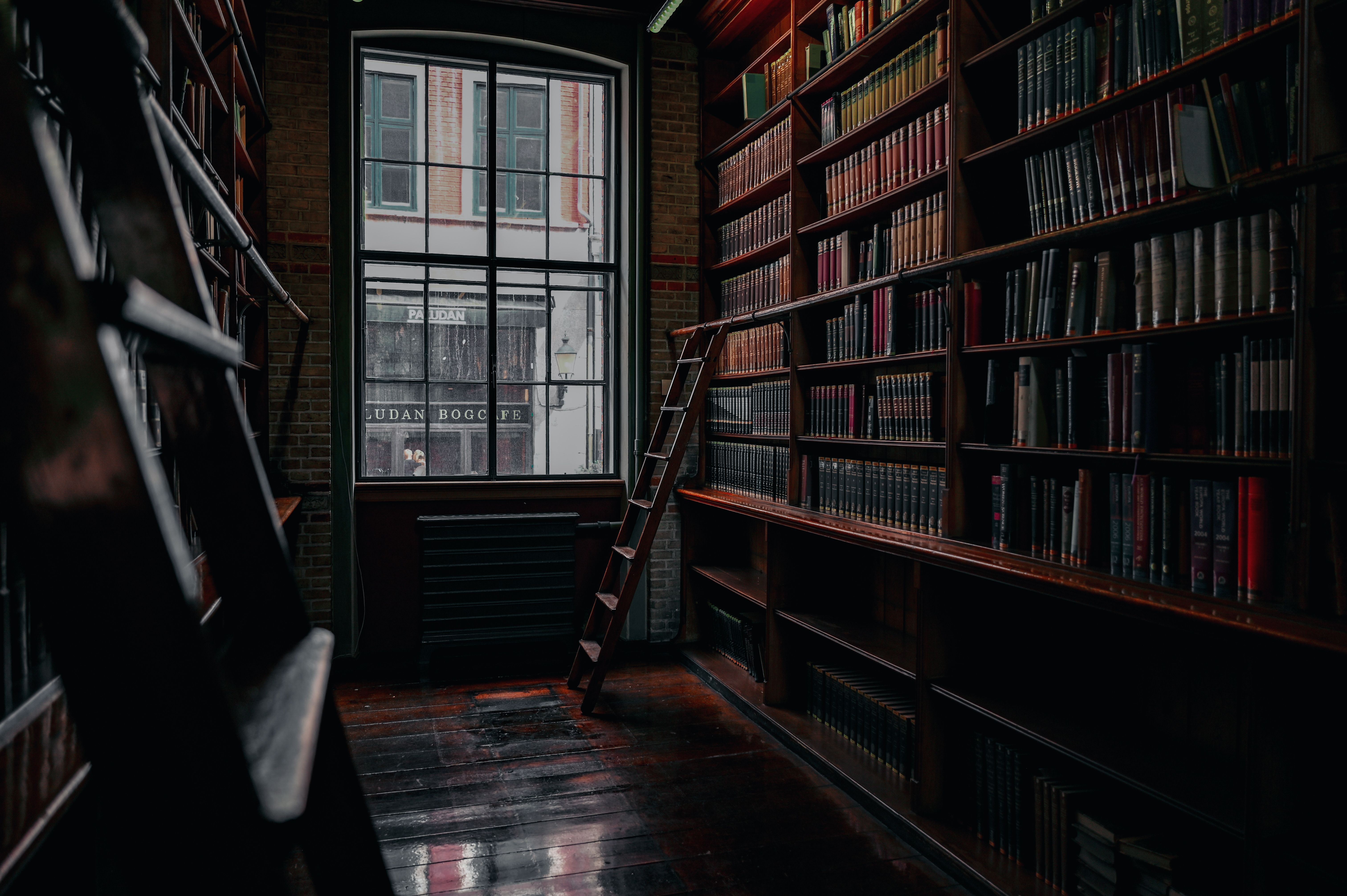 WHAT TIME DOES A DISCOVERY OF WITCHES SEASON 3 EPISODE 4 PREMIERE? — Photo by ΘSWΛLD on Pexels
