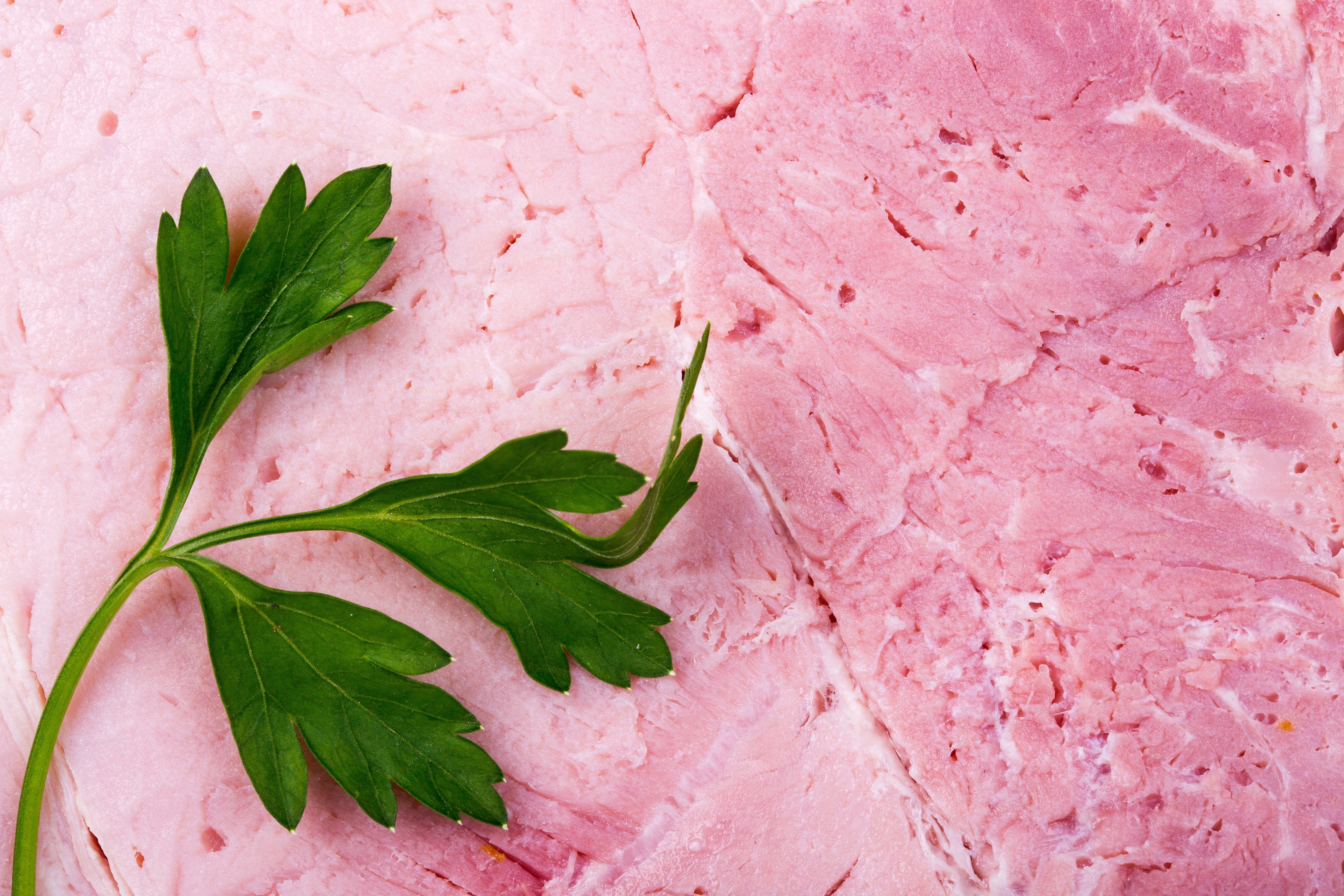 Meat; of swine, hams, shoulders and cuts thereof, with bone in, fresh or chilled
