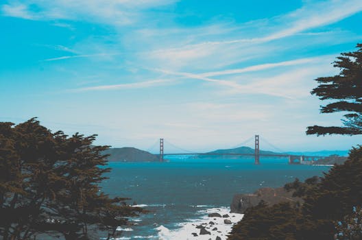 金门大桥四周树木繁茂，海景充满活力