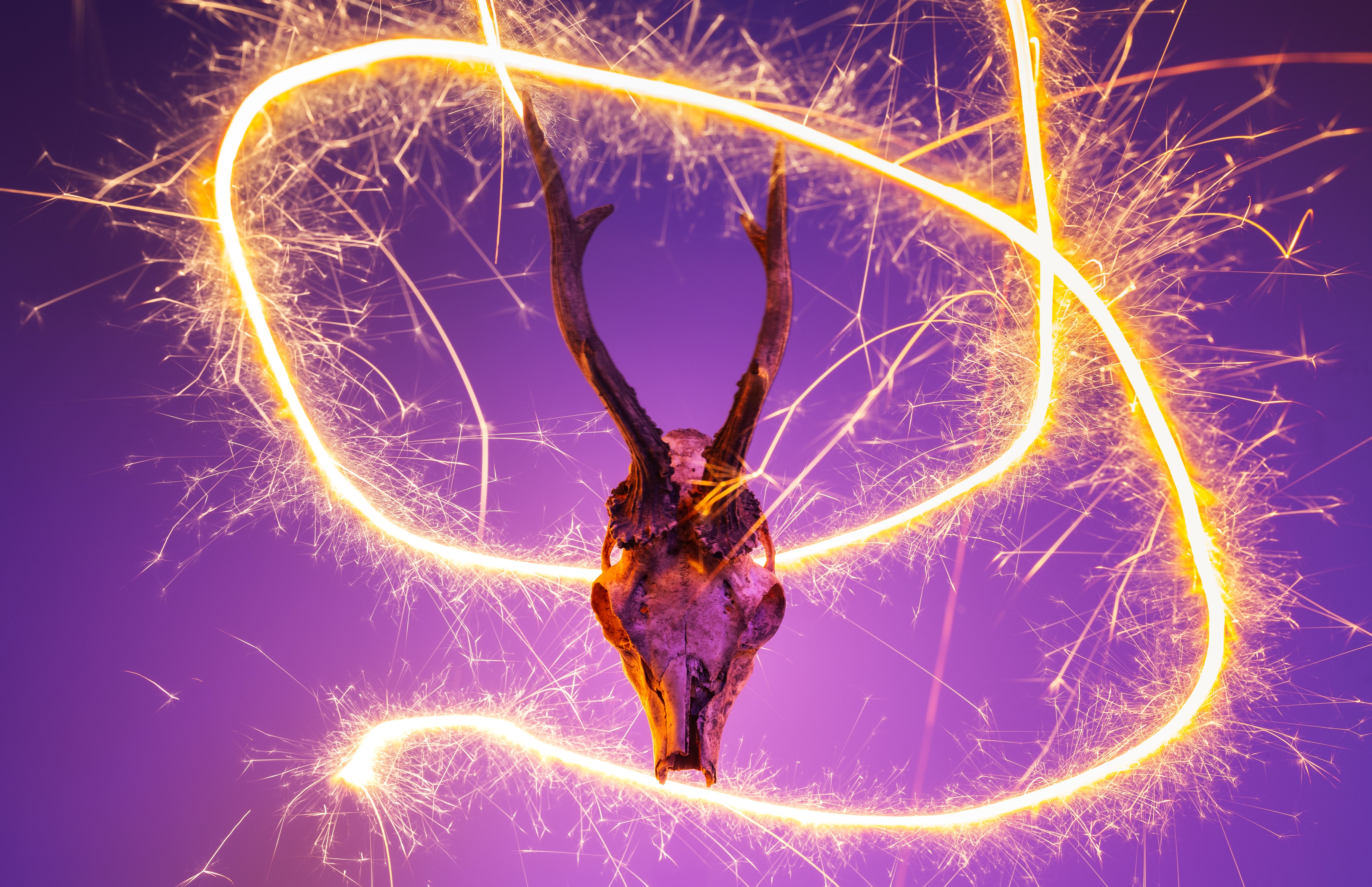 An artistic depiction of a deer skull surrounded by dynamic orange light trails on a vivid purple background.