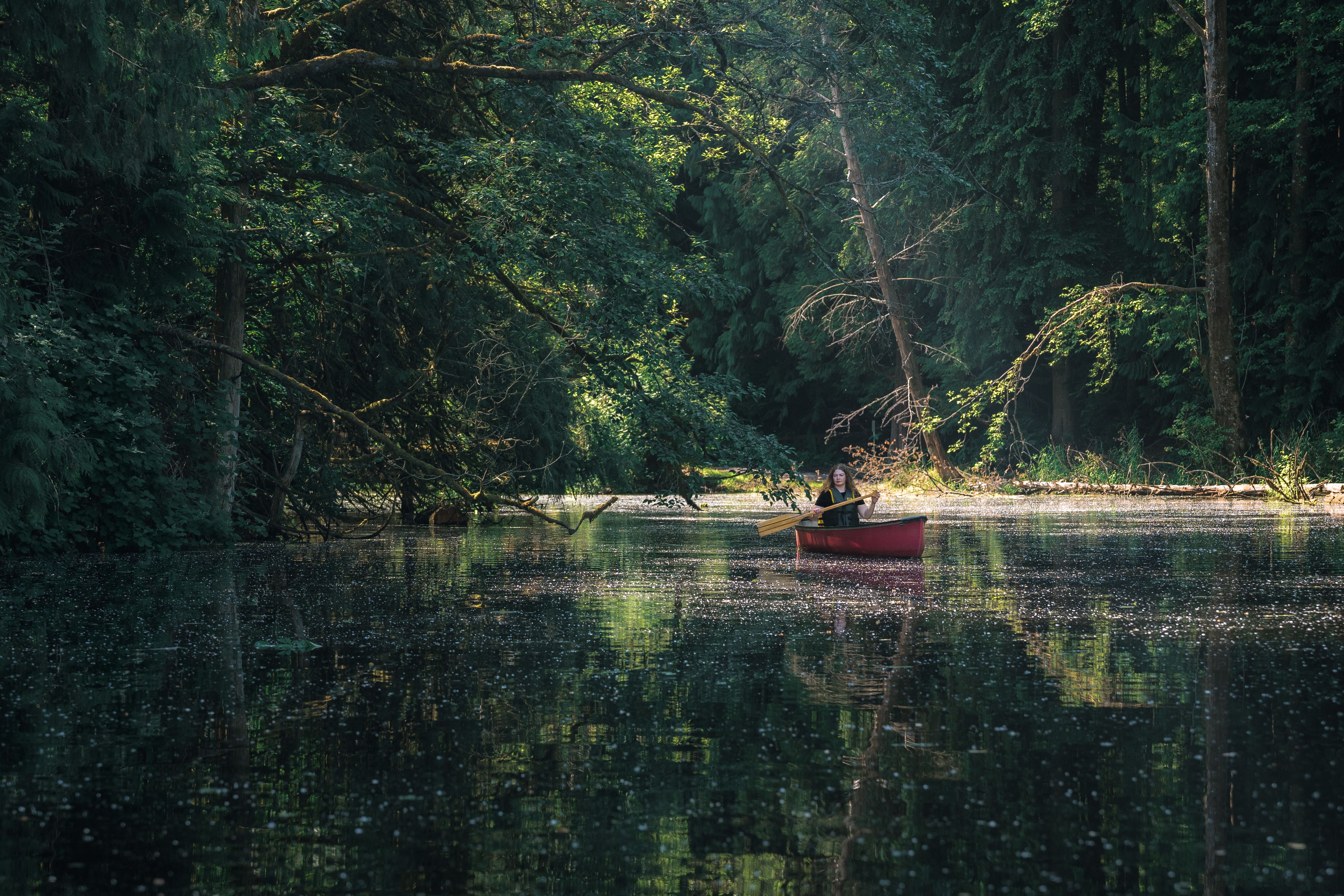 A red canoe crossing a still lake — photo by Jelly Marketing on Pexels