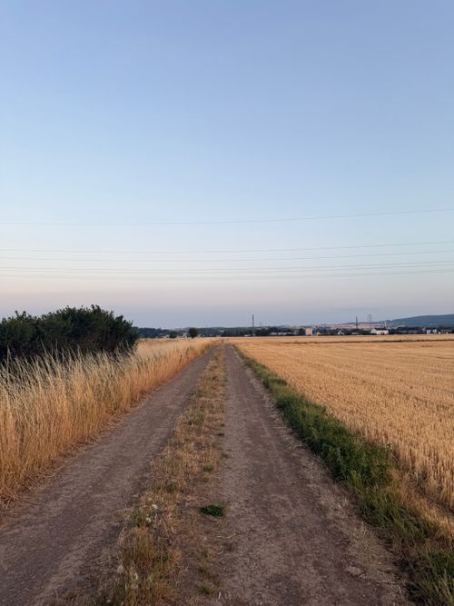 Free Tranquil dirt road with wheat fields under a clear evening sky in Germany. Stock Photo