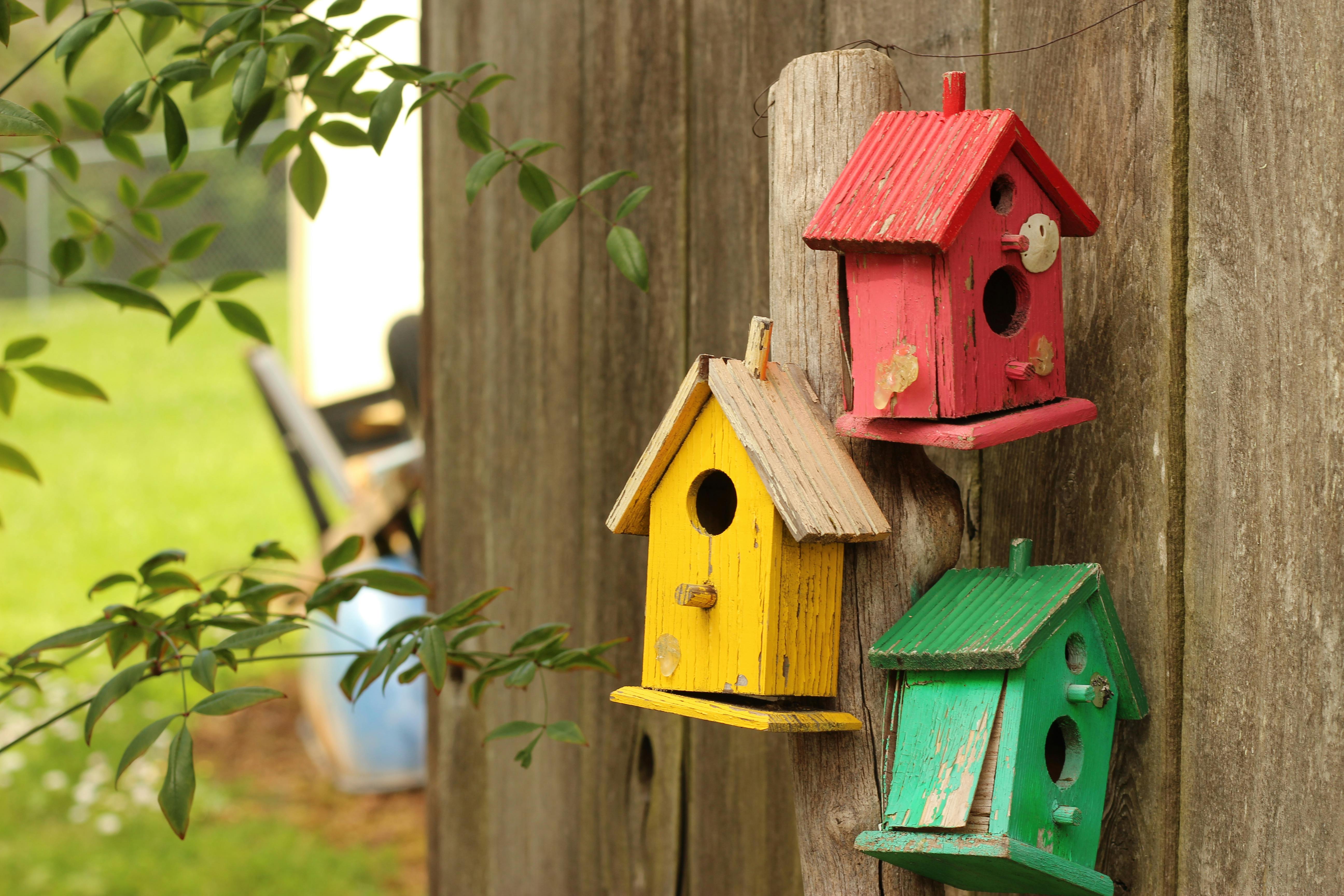 Free Stock Photo Of Bird House, Birdhouse, Fence