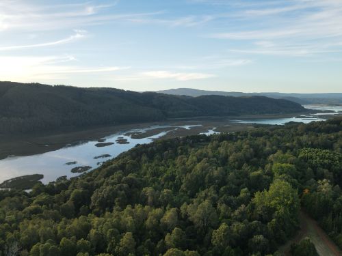 Free Aerial view of lush forest and meandering river under clear sky in southern Chile. Stock Photo