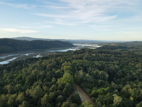 Free Captivating aerial view of dense forest bordering an expansive river under a bright sky in Southern Chile. Stock Photo