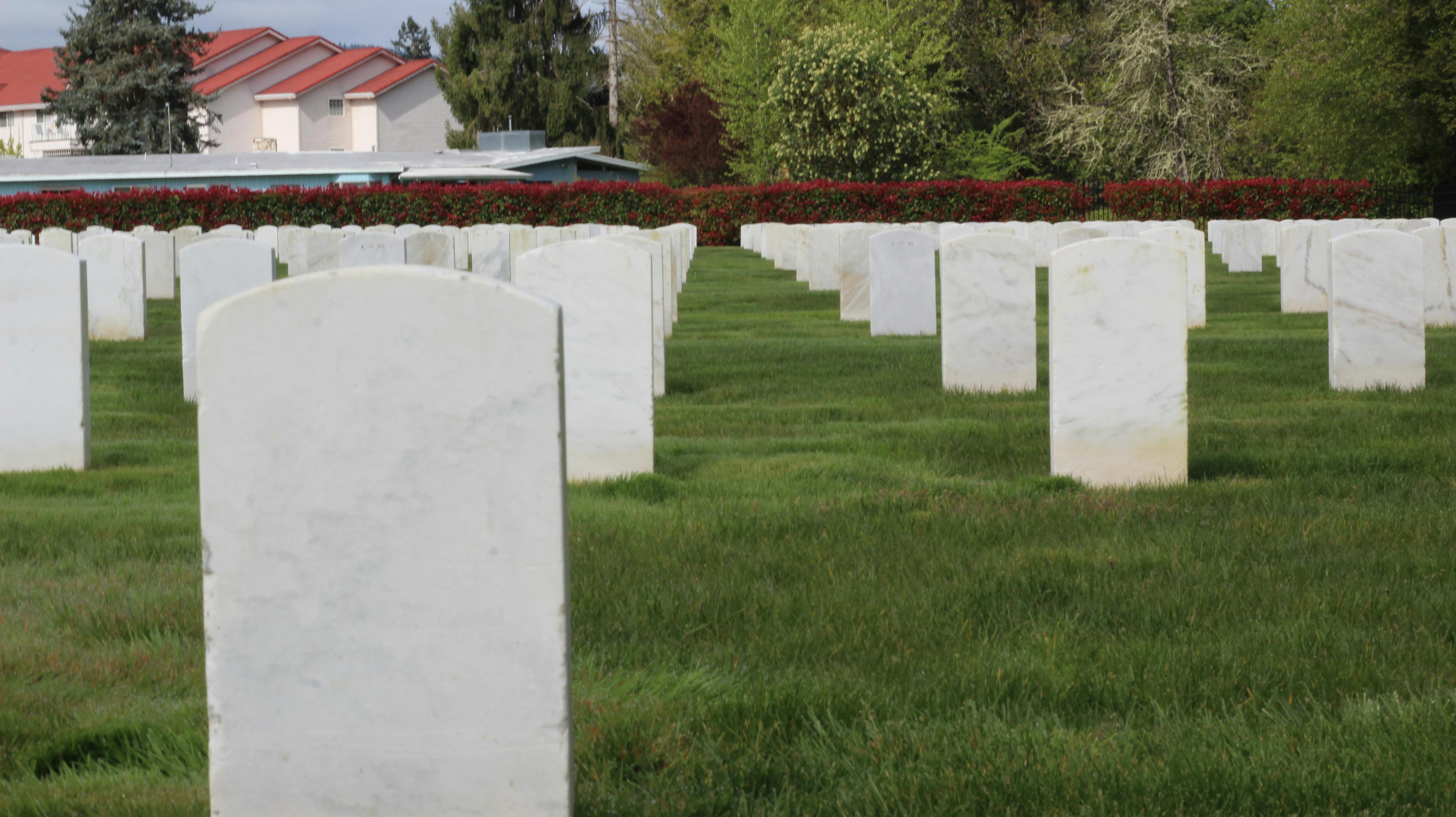 Free stock photo of bold, brave, cemetary