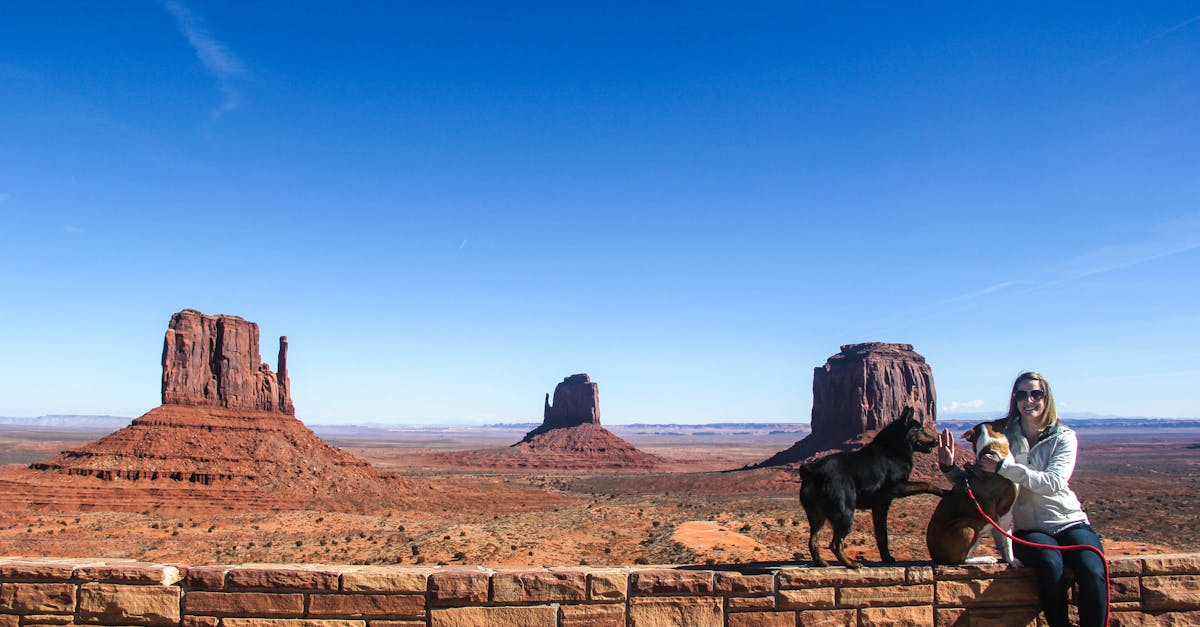 Free stock photo of arizona, beautiful, dog