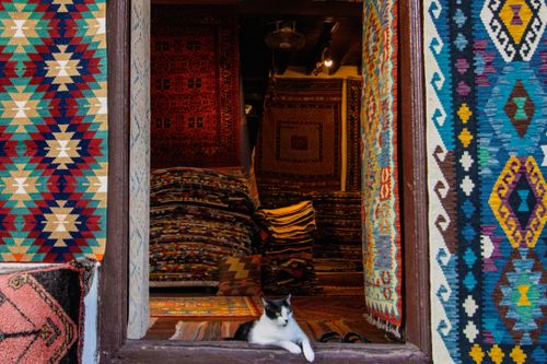 Free A cozy carpet shop entrance adorned with colorful rugs and a cat lounging at the doorway. Stock Photo